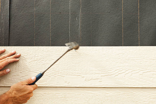 Best Historical Building Siding Restoration  in Cavalier, ND